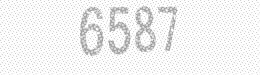 Visual security code — type the characters shown in the image