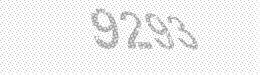 Visual security code — type the characters shown in the image